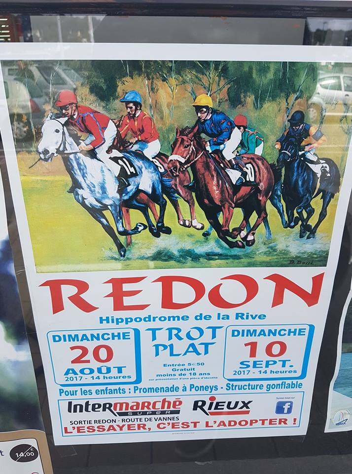 Courses hippiques