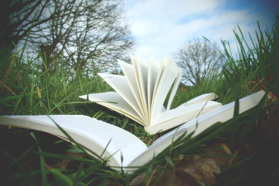Braderie de livres