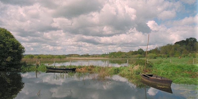 Balade nature