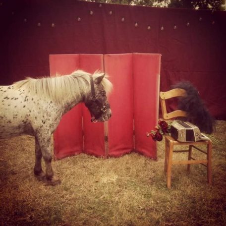 Poney et musique !