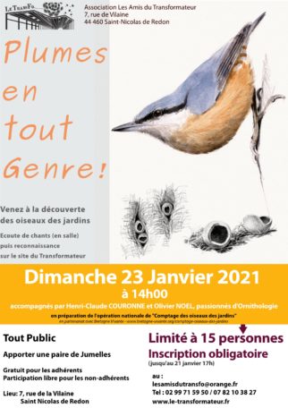 Reconnaissance et observation des oiseaux des jardins