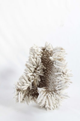 Exposition "Duo de matières"