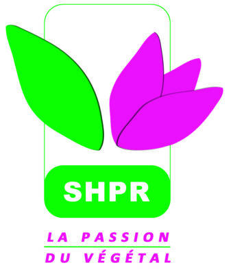 Conférence sur les vivaces
