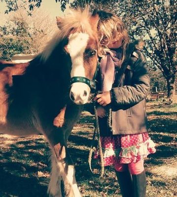 Courses hippiques