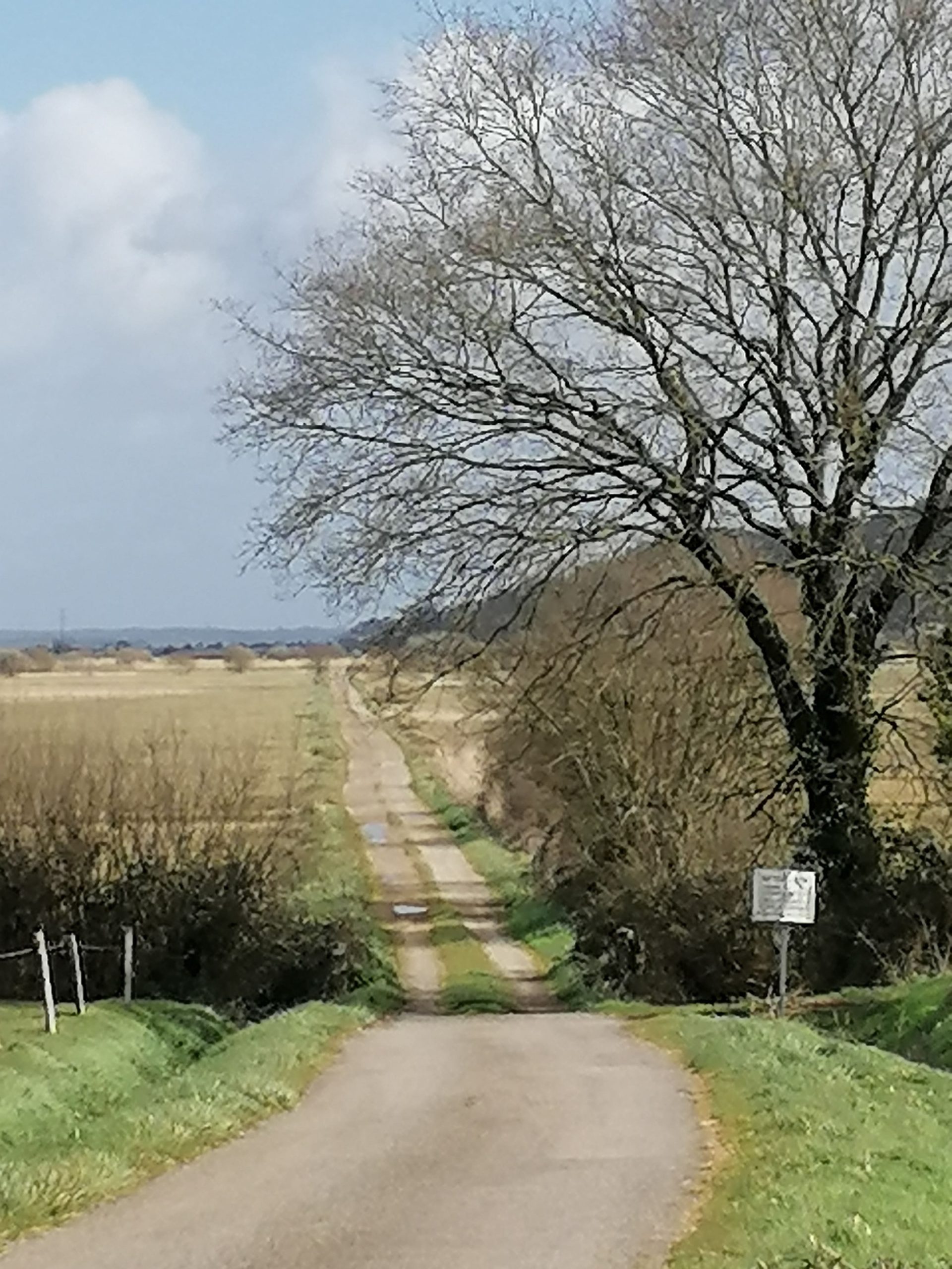 Balade découverte "le Marais de Vilaine"