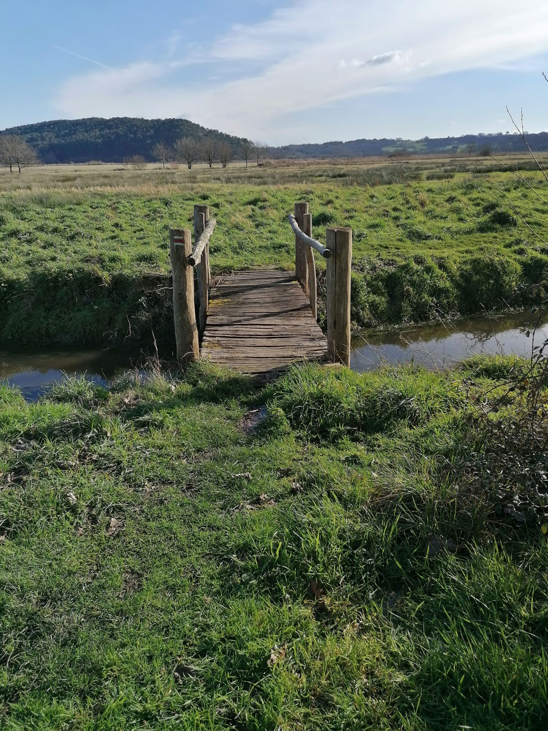 Balade découverte "le Marais de Vilaine"