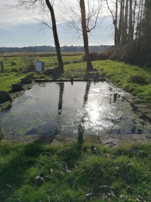 Balade, marais de vilaine