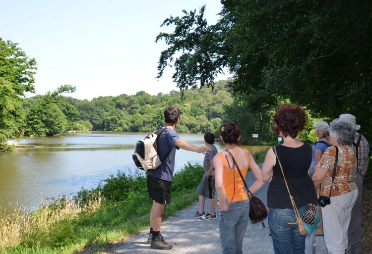 Visite guidée : l'Île aux Pies et ses trésors