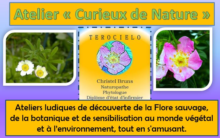 Ateliers "Curieux de nature"