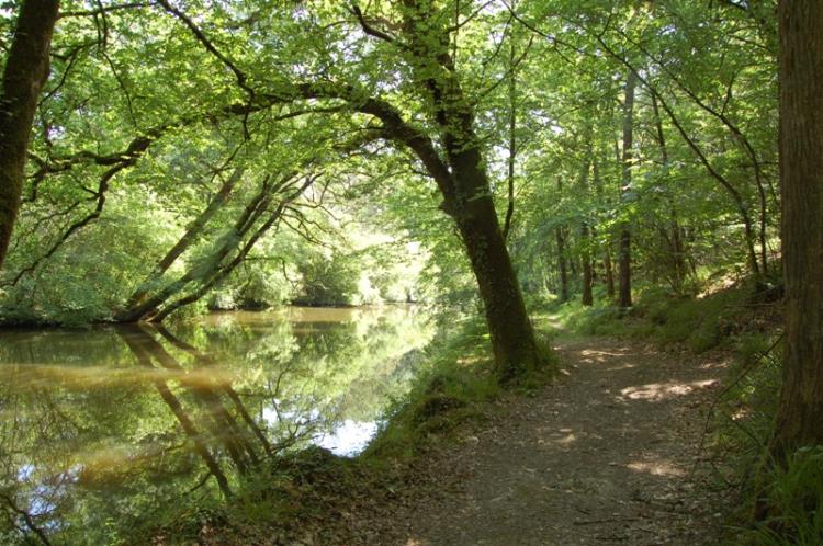 Visite guidée: la vallée sauvage de la Fée Carabosse