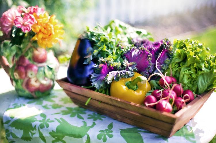 Cuisine au jardin