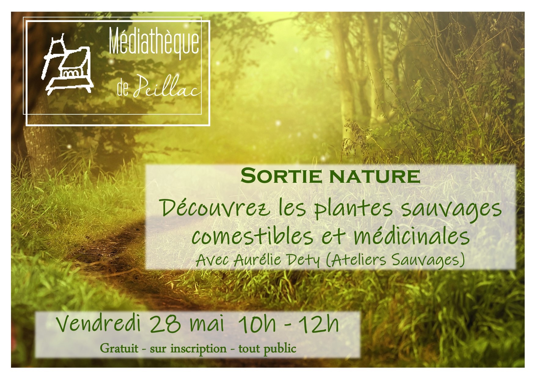 Sortie nature : découvrez les plantes sauvages comestibles et médicinales