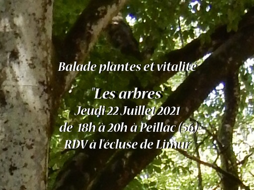 Balade plantes et vitalité
