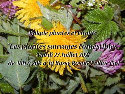 Balade plantes et vitalité