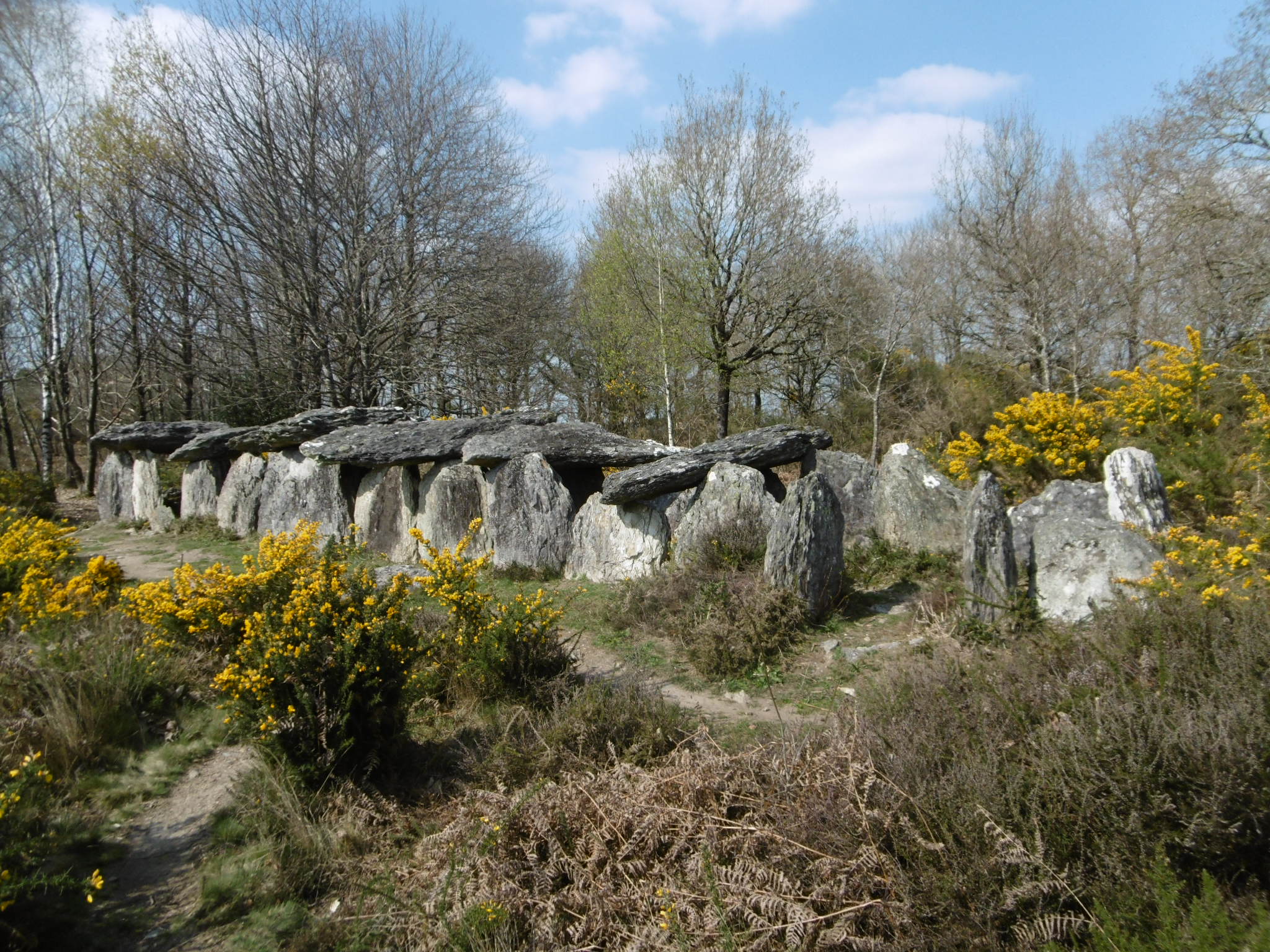 Journées de l'Archéologie, visite