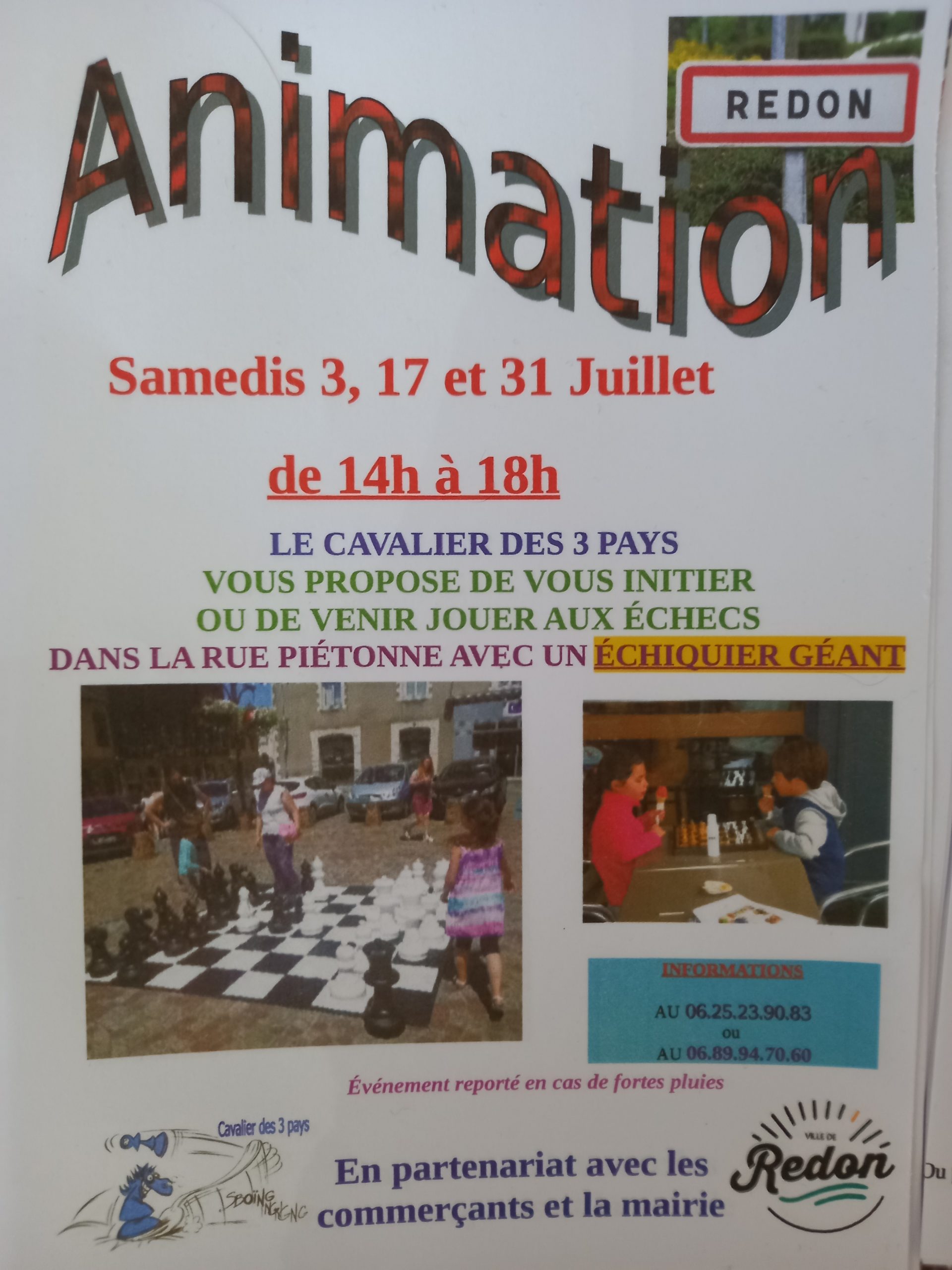 Animations échecs