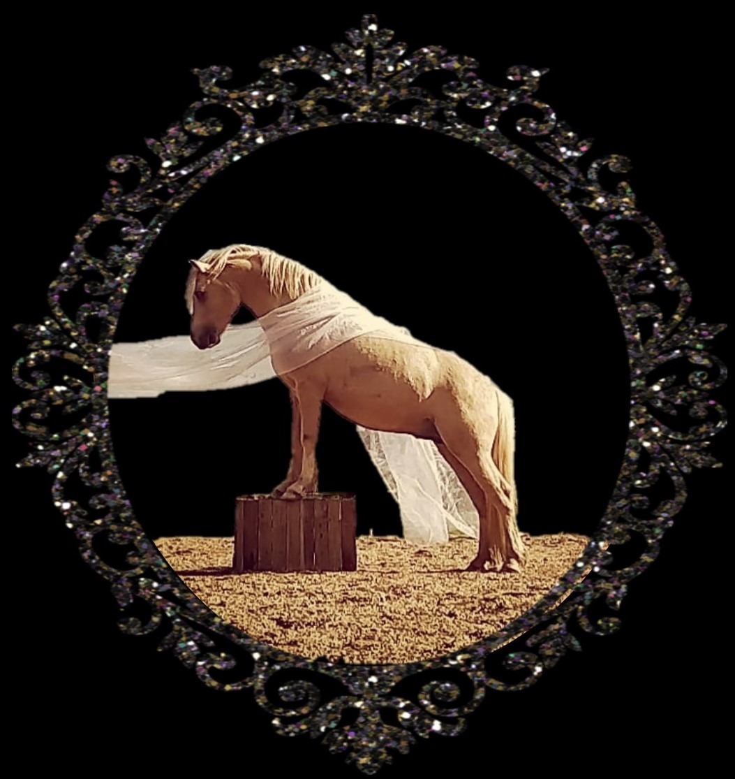 Spectacle "La Jeune fille et l'oiseau"