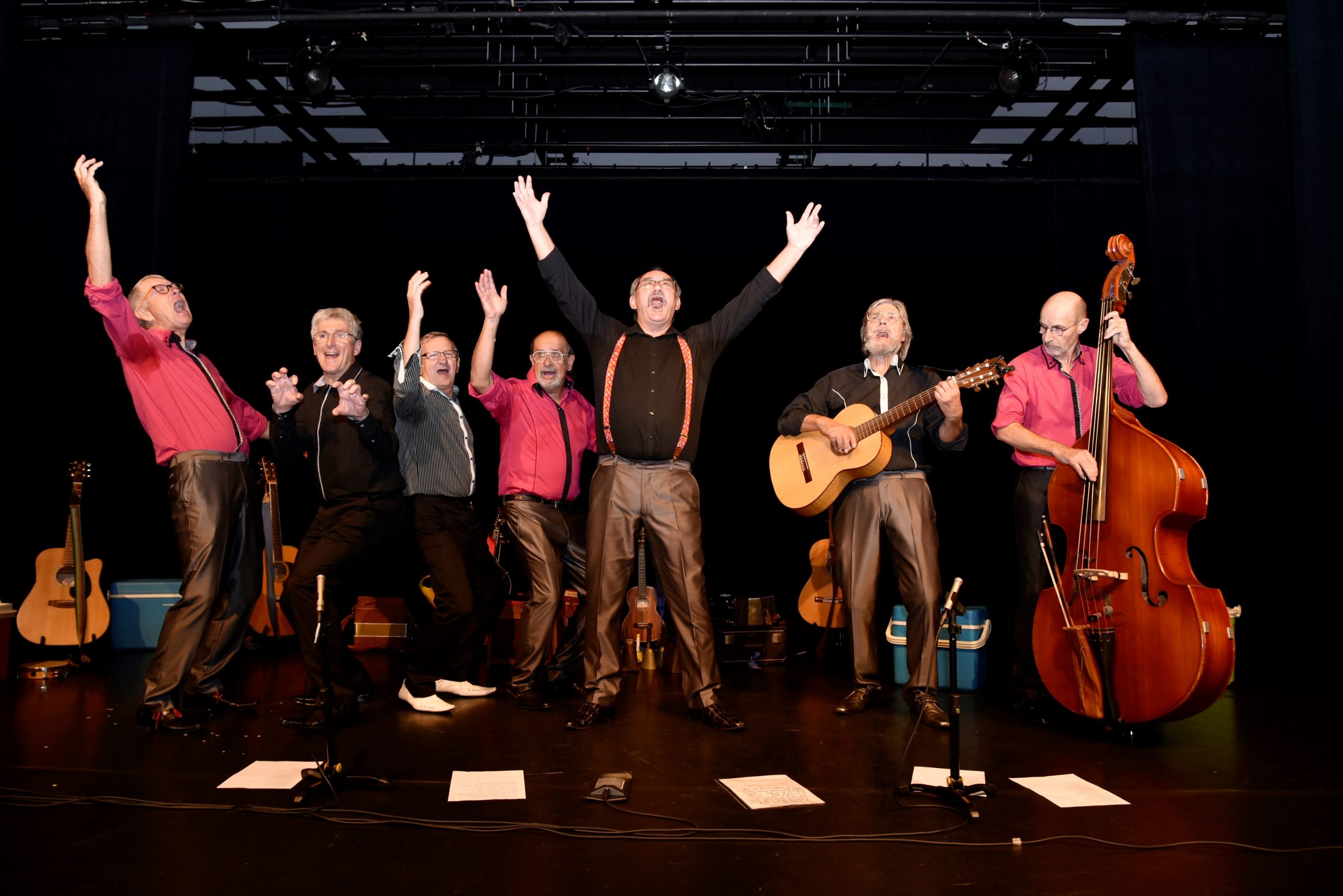 Les Matous, concert