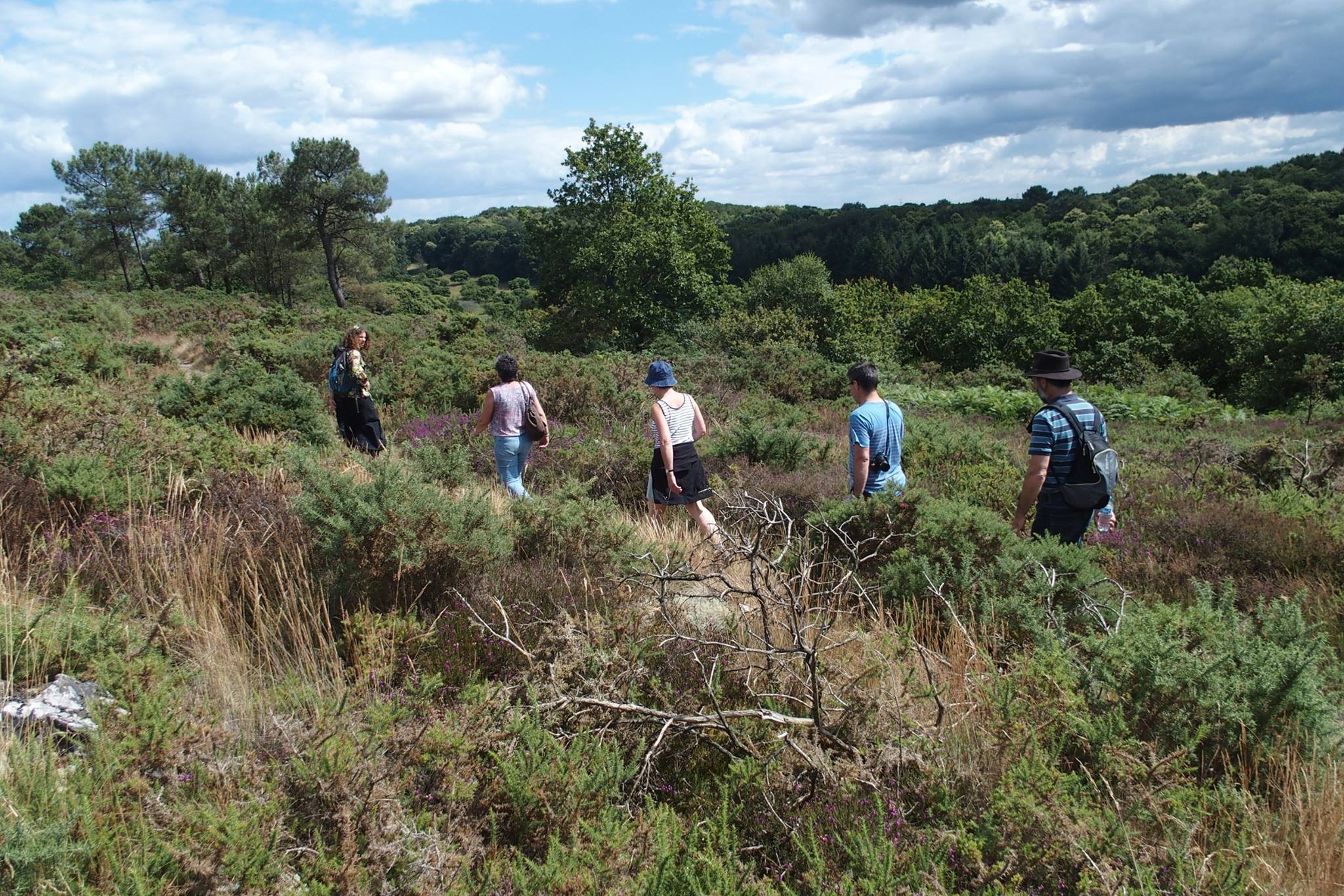 Balade nature "Landes, ardoises et compagnie"