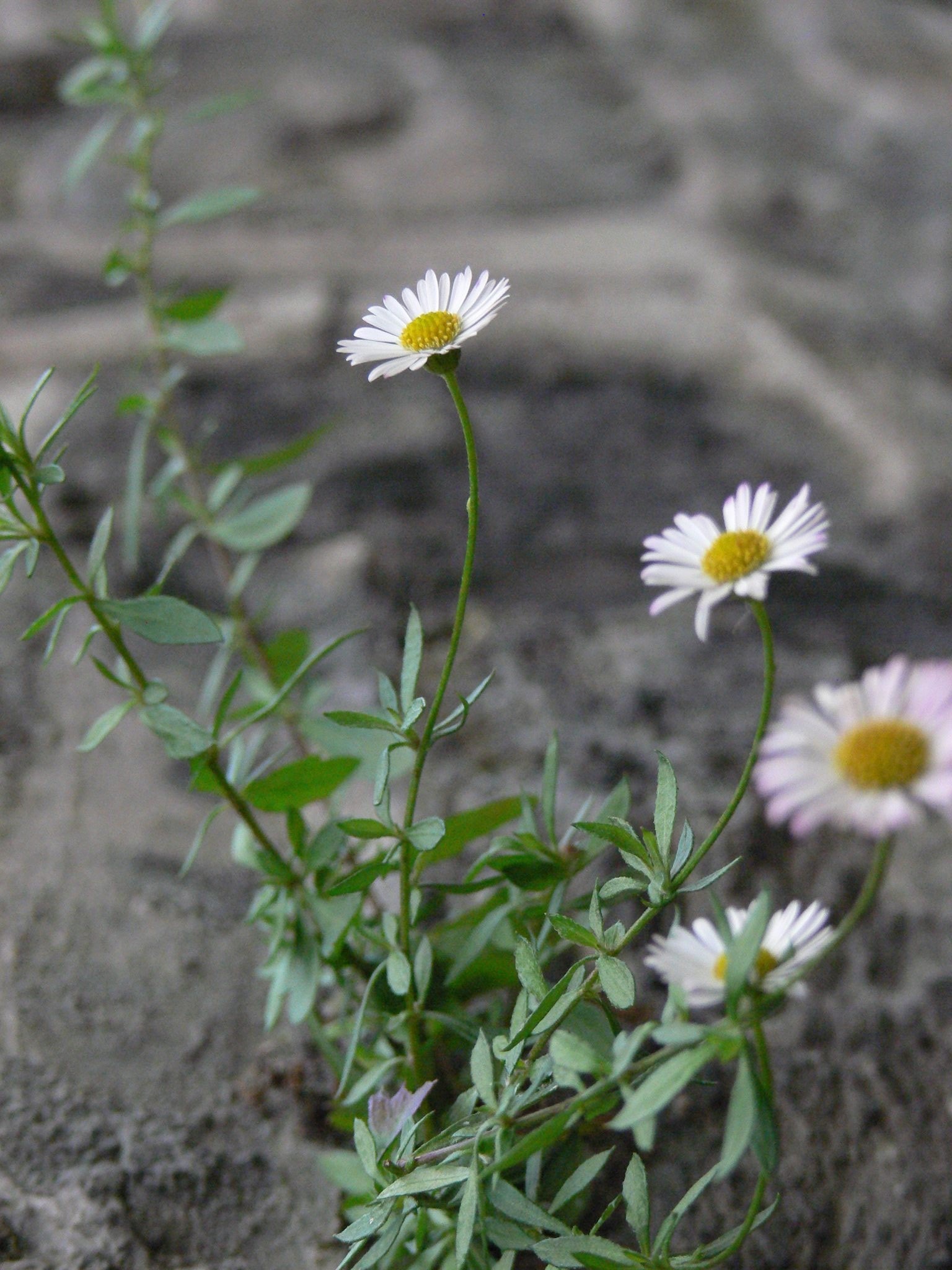 Balade nature