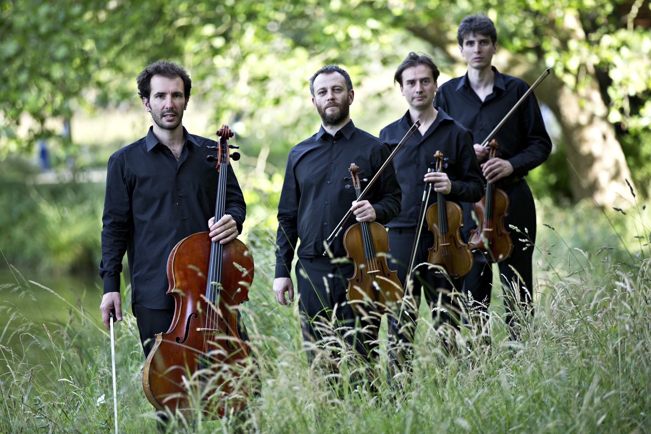 Festival Bordures
