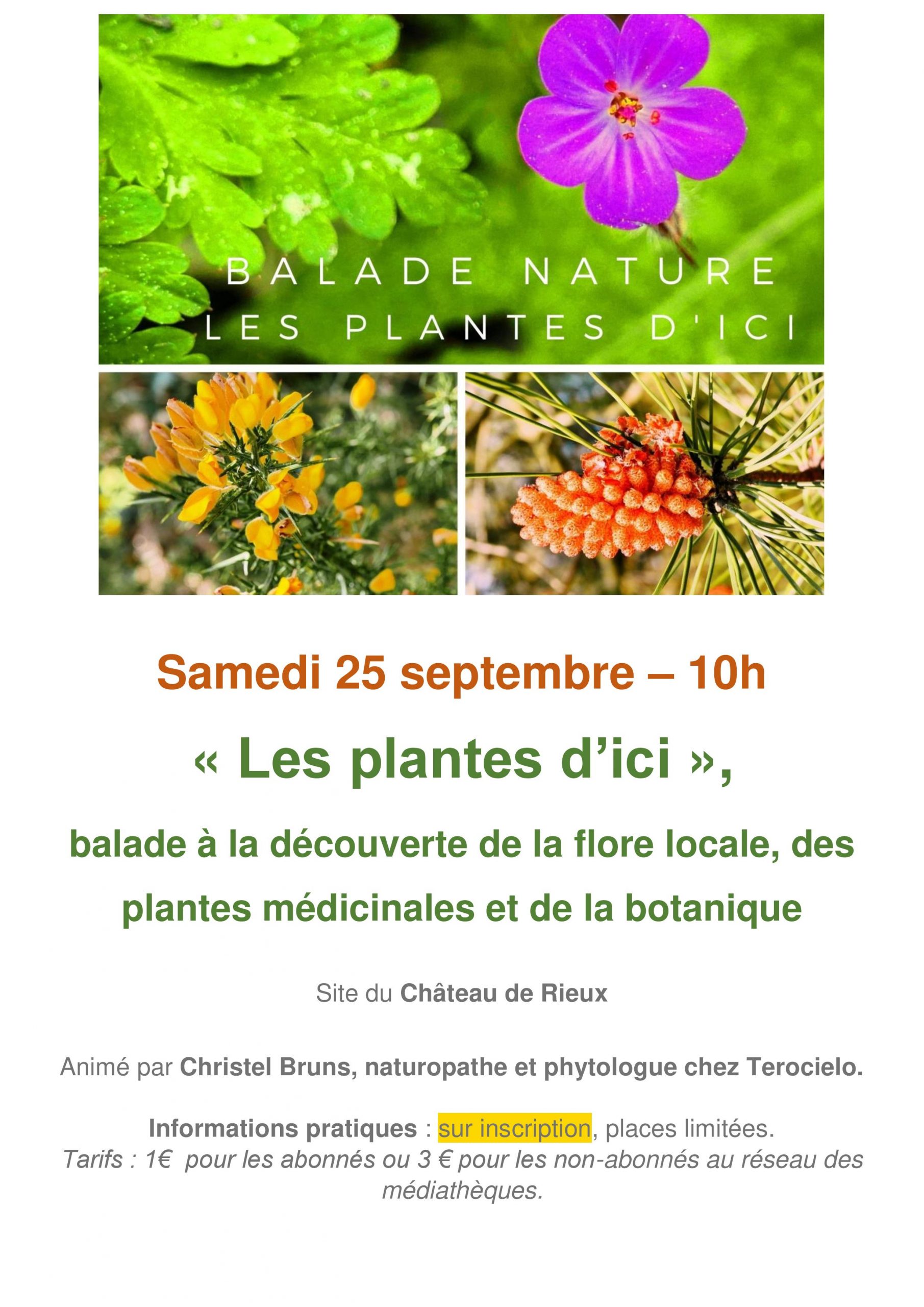 Balade "Les plantes d'ici"