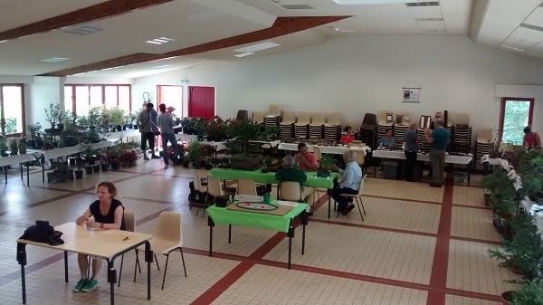 Grande Braderie - clubs de bonsaï