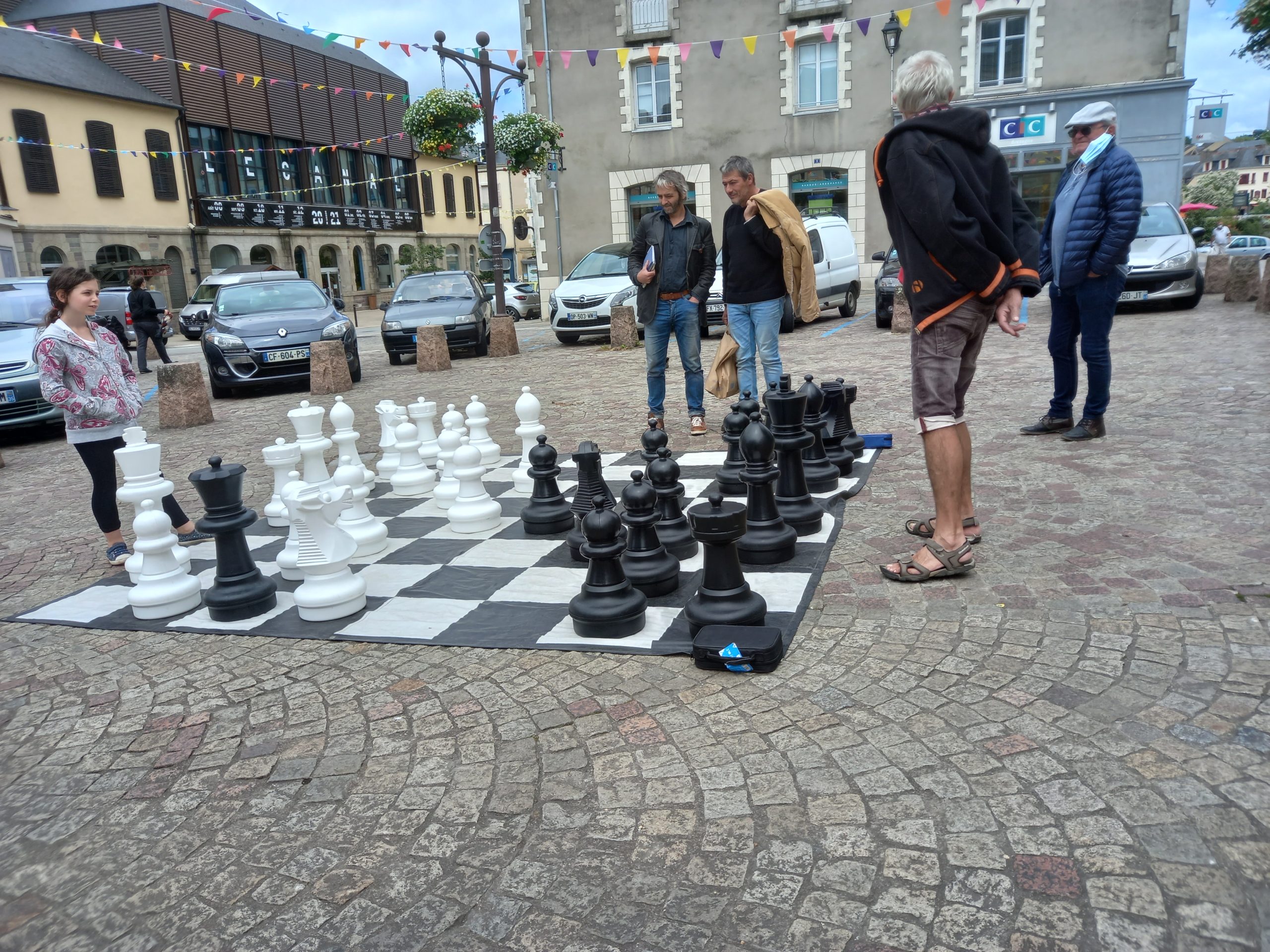 Animation échecs