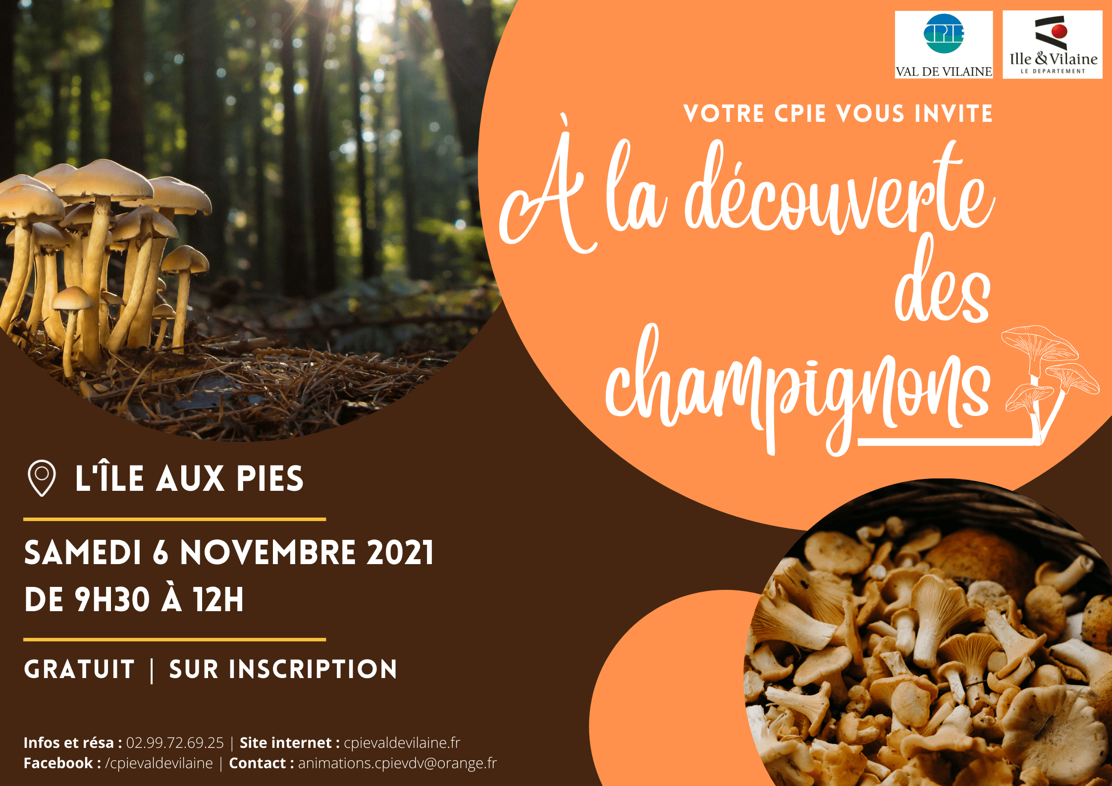 A la découverte des champignons de l’Ile aux Pies