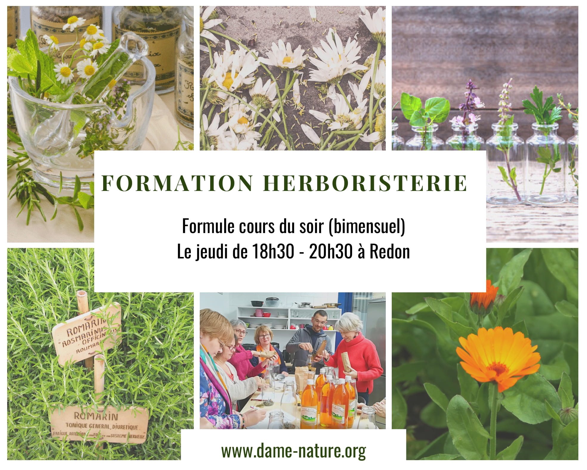 Formation herboristerie (introduction)