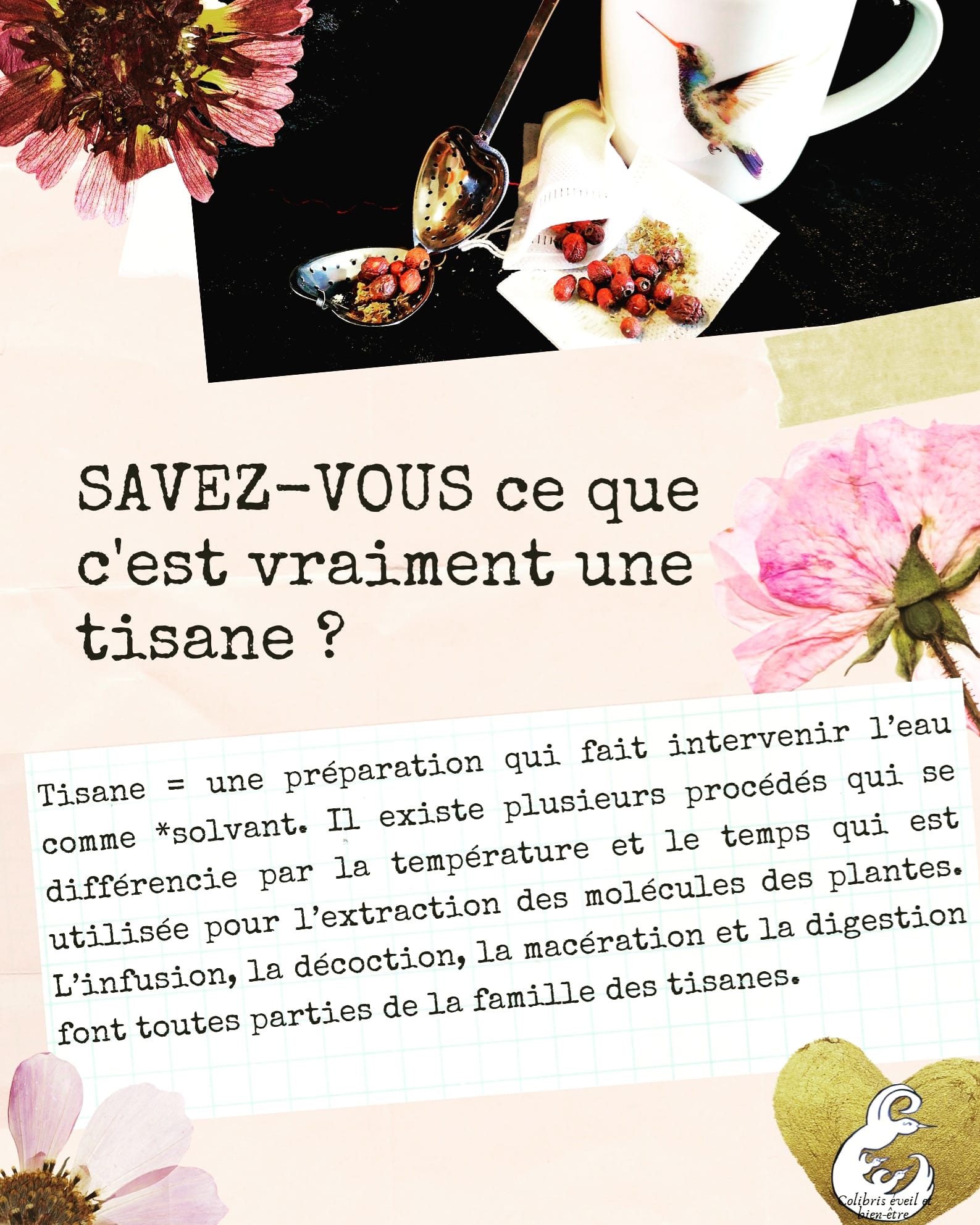 Atelier tisane