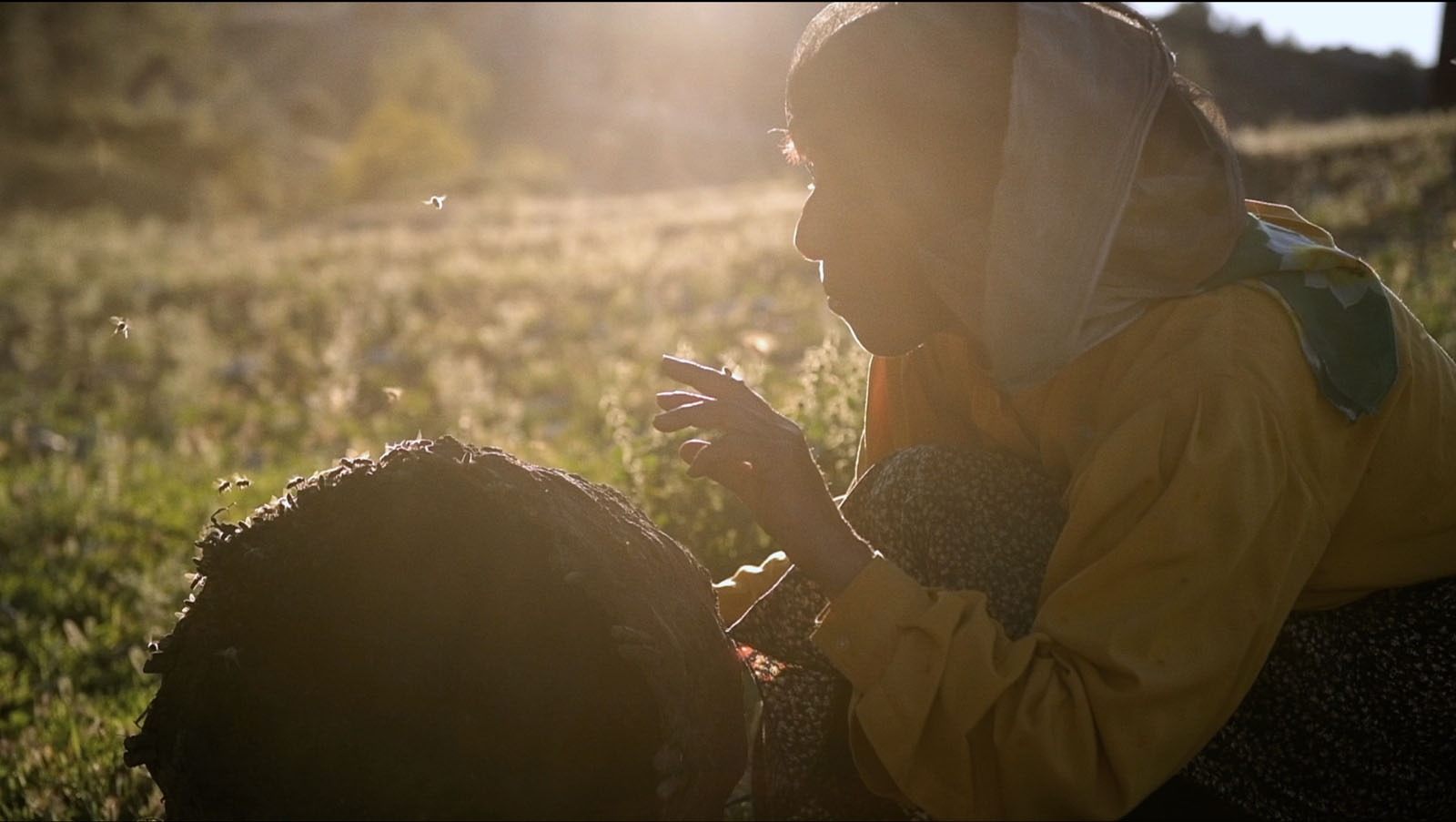Ciné-débat : Honeyland