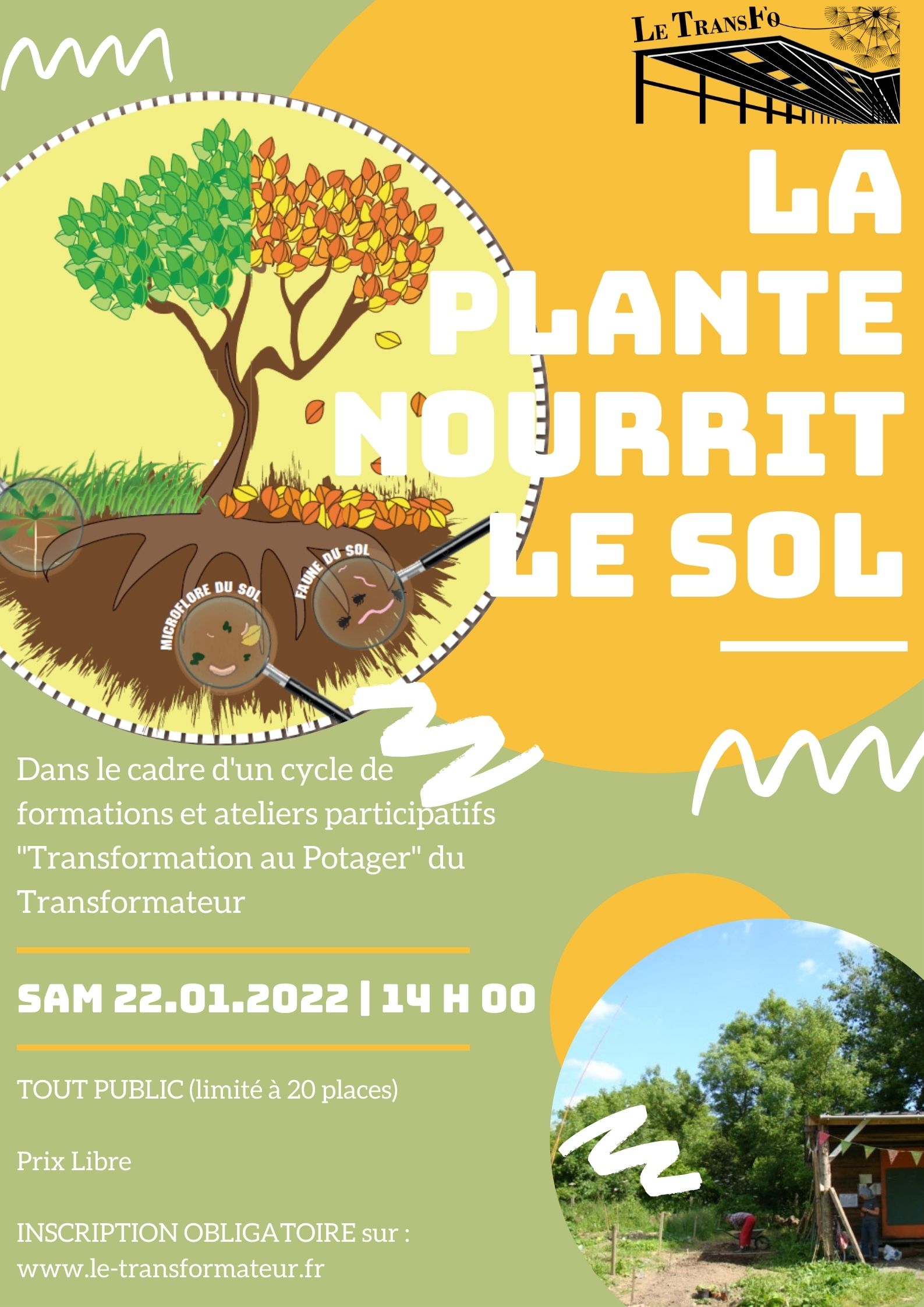 Transformation au potager : "La plante nourrit le sol"