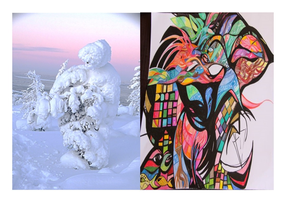 Exposition "La Laponie et pastels oiseaux"