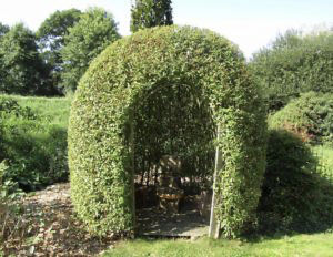 Initiation et confection d'un igloo et d'une haie tressée en osier vivant
