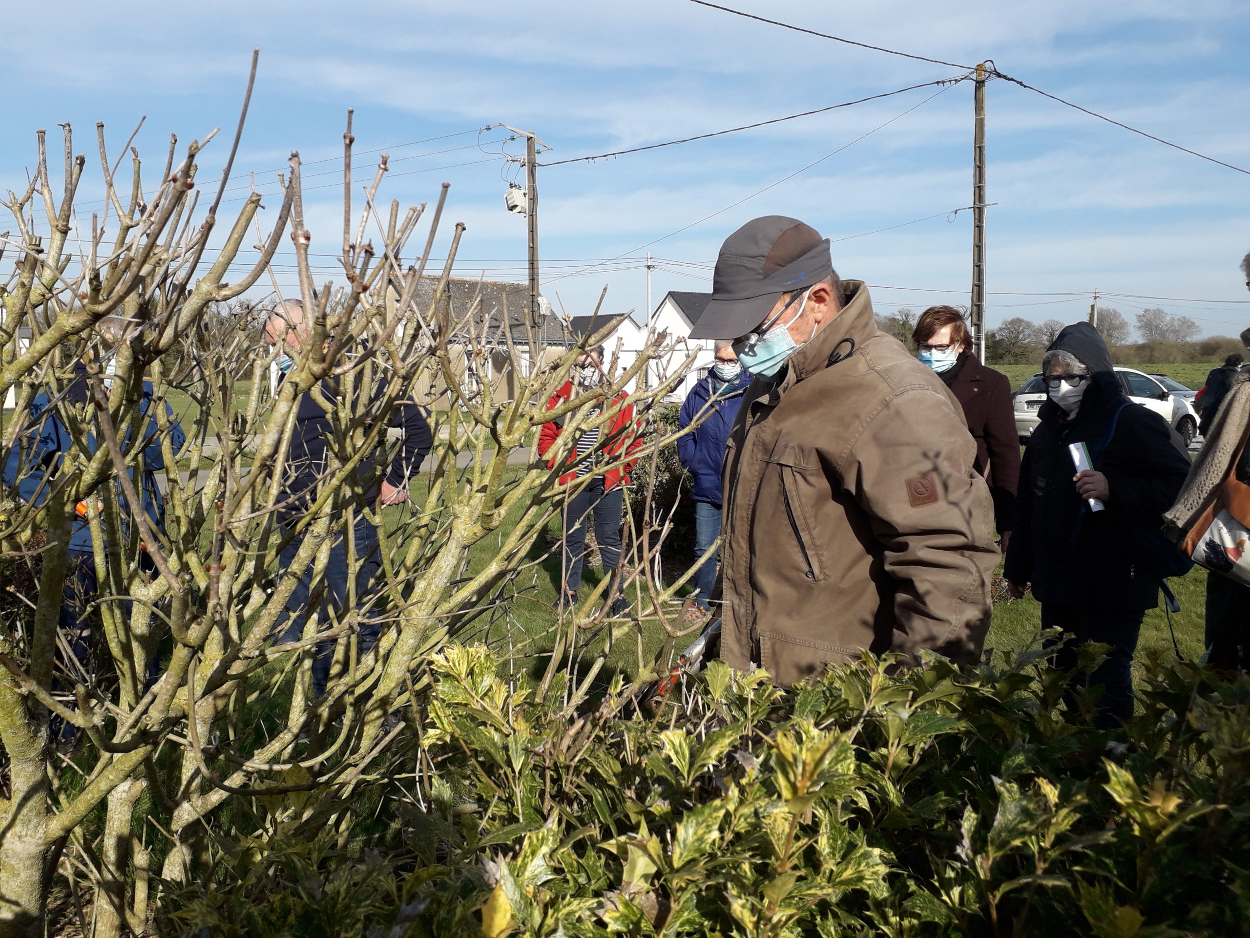 Démonstration de taille raisonnée des arbustes ornementaux à floraison estivale