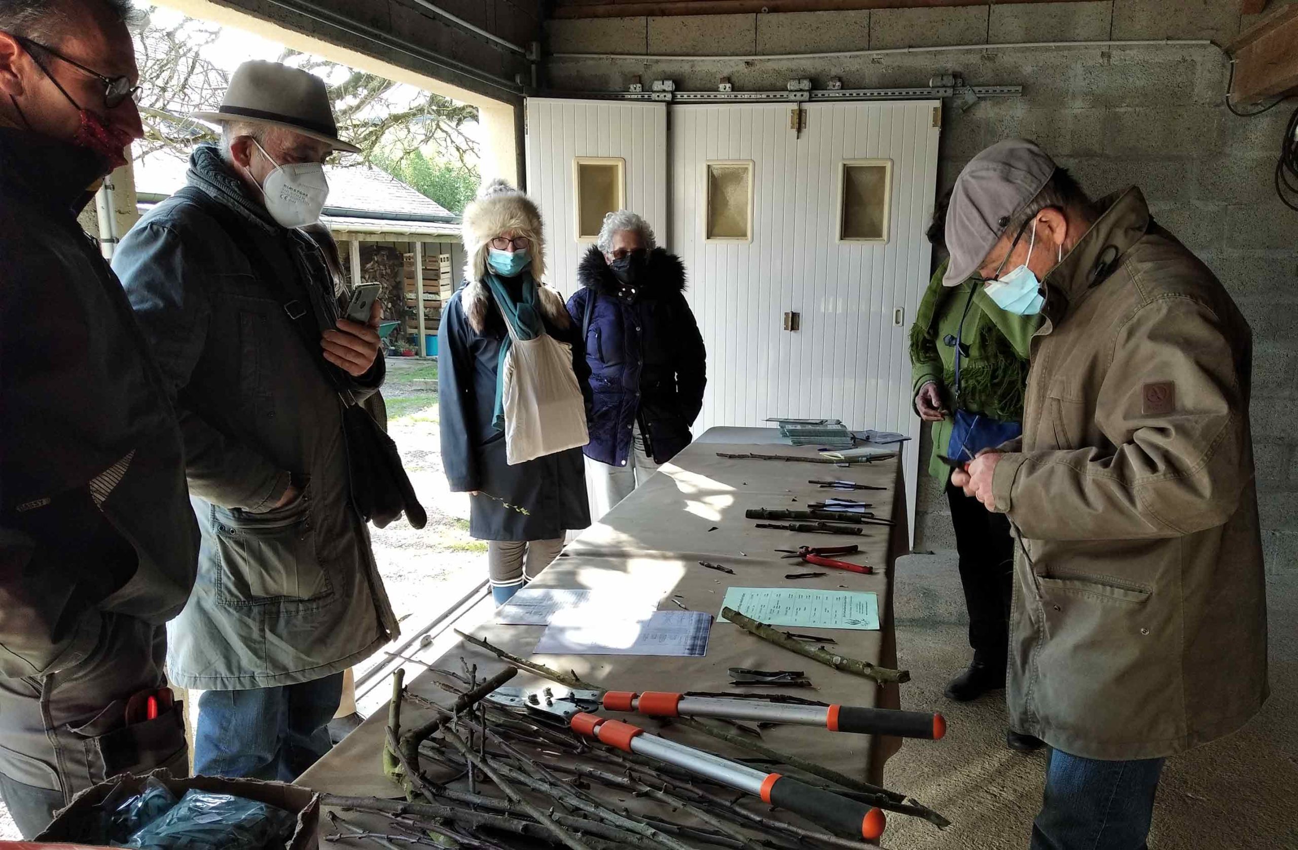Atelier de greffage