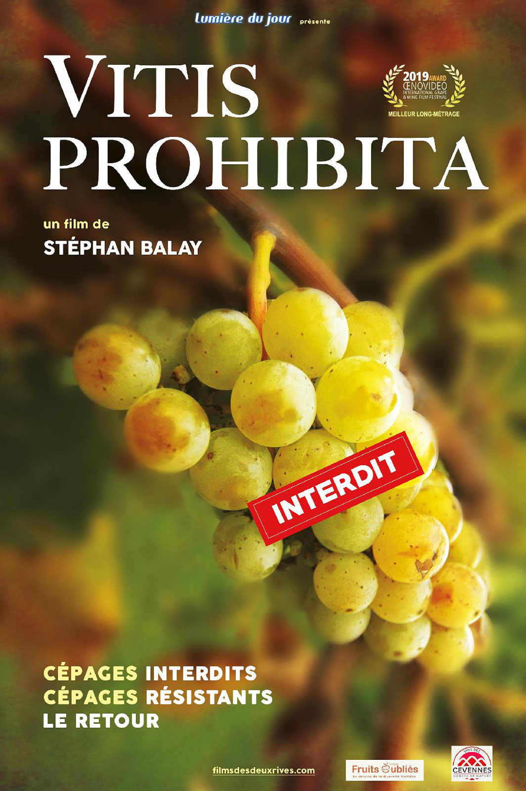 Ciné-dégustation : Vistis Prohibita