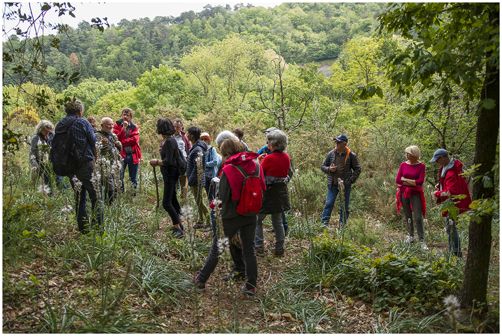 Sortie Nature