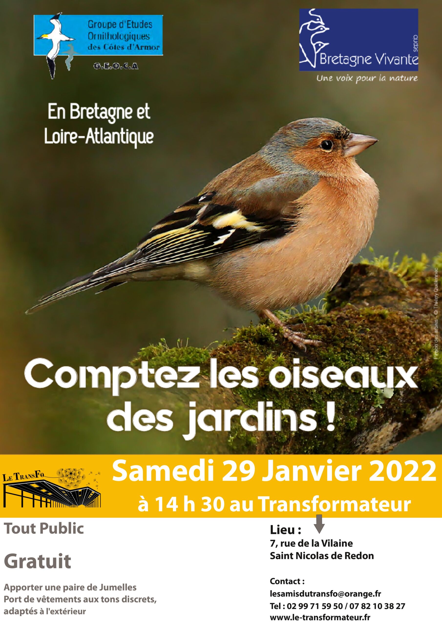 Comptage des oiseaux des jardins