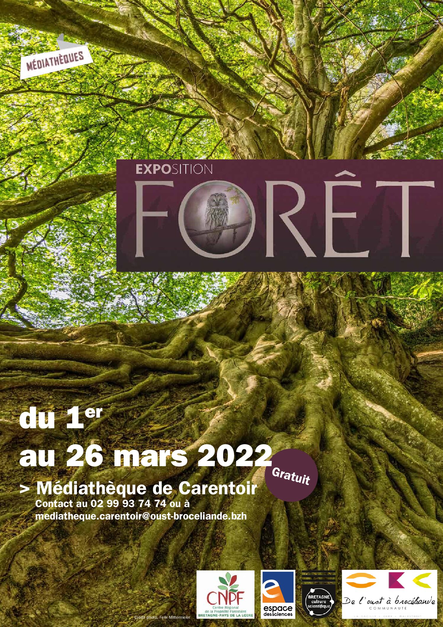 Exposition "Forêt"