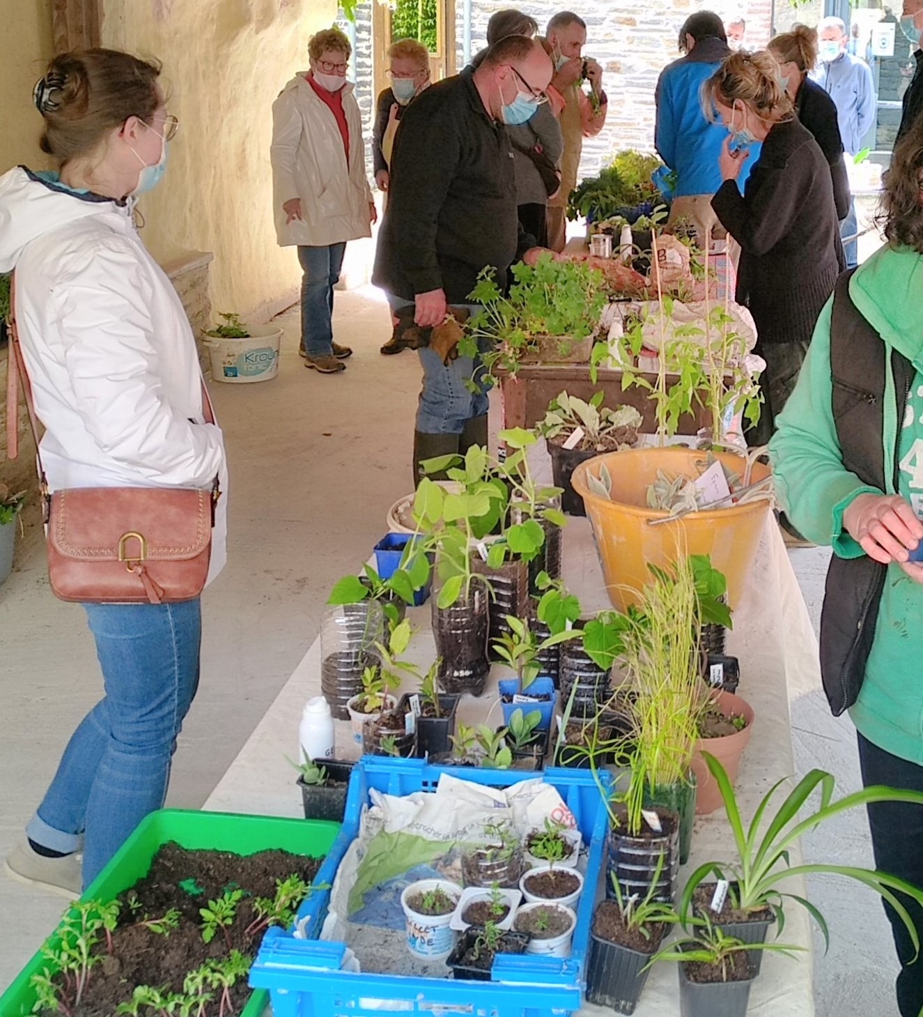 Troc plantes
