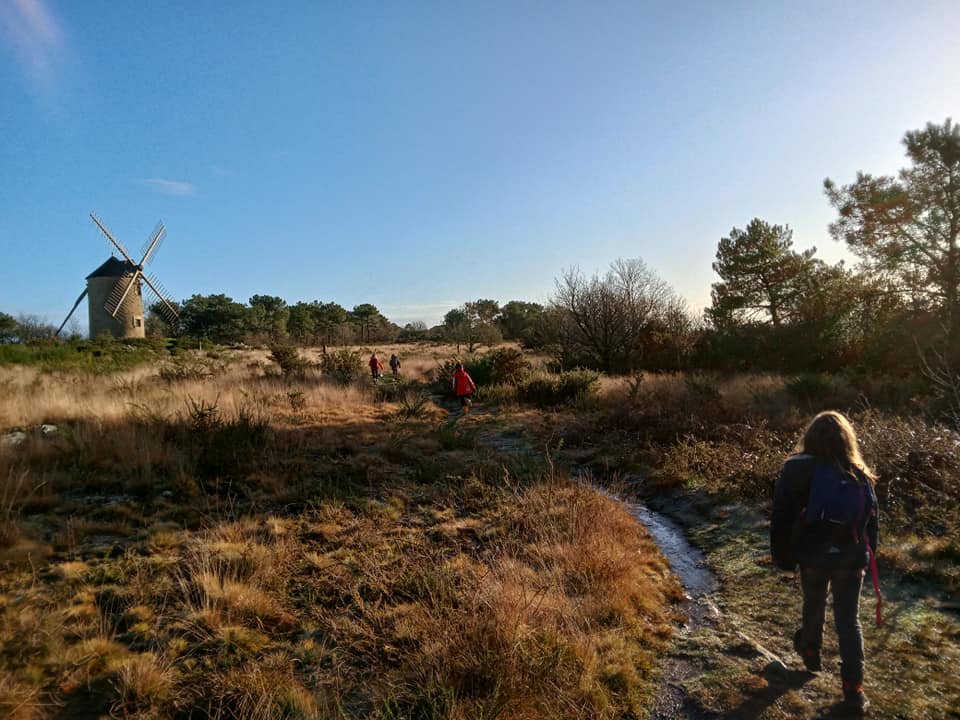 Jeu de piste familial "Des moulins et de la lande"