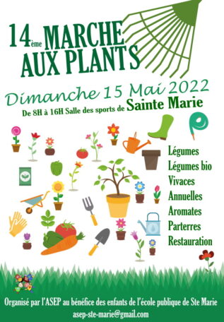 marché aux plants