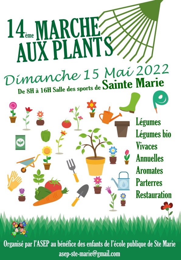 Marché aux plants