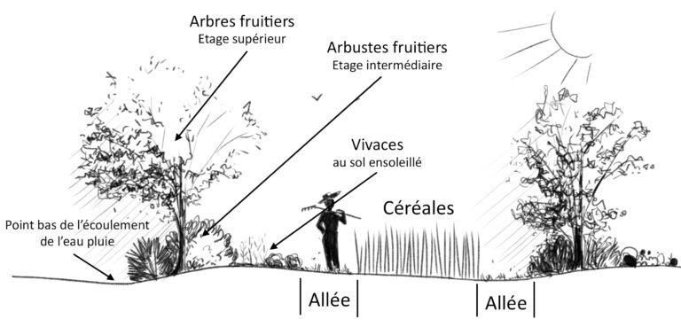 cycle jardinage