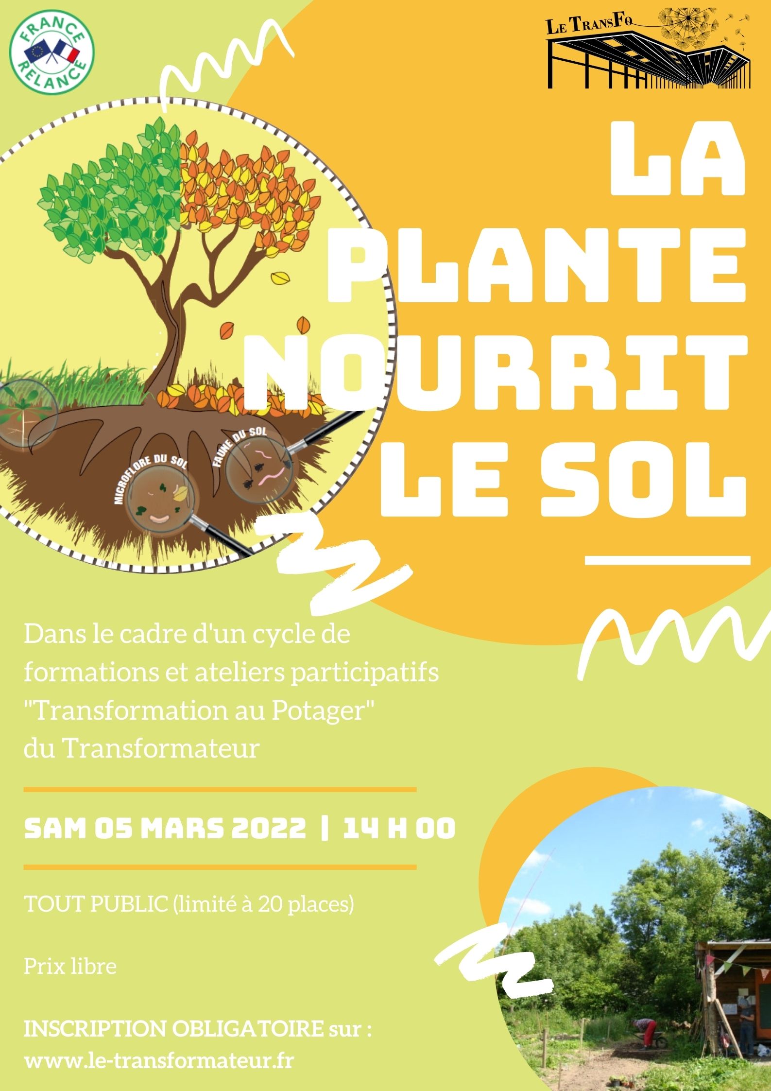 Atelier - la plante nourrit le sol