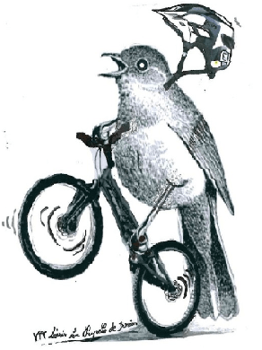 Randonnée VTT et pédestre
