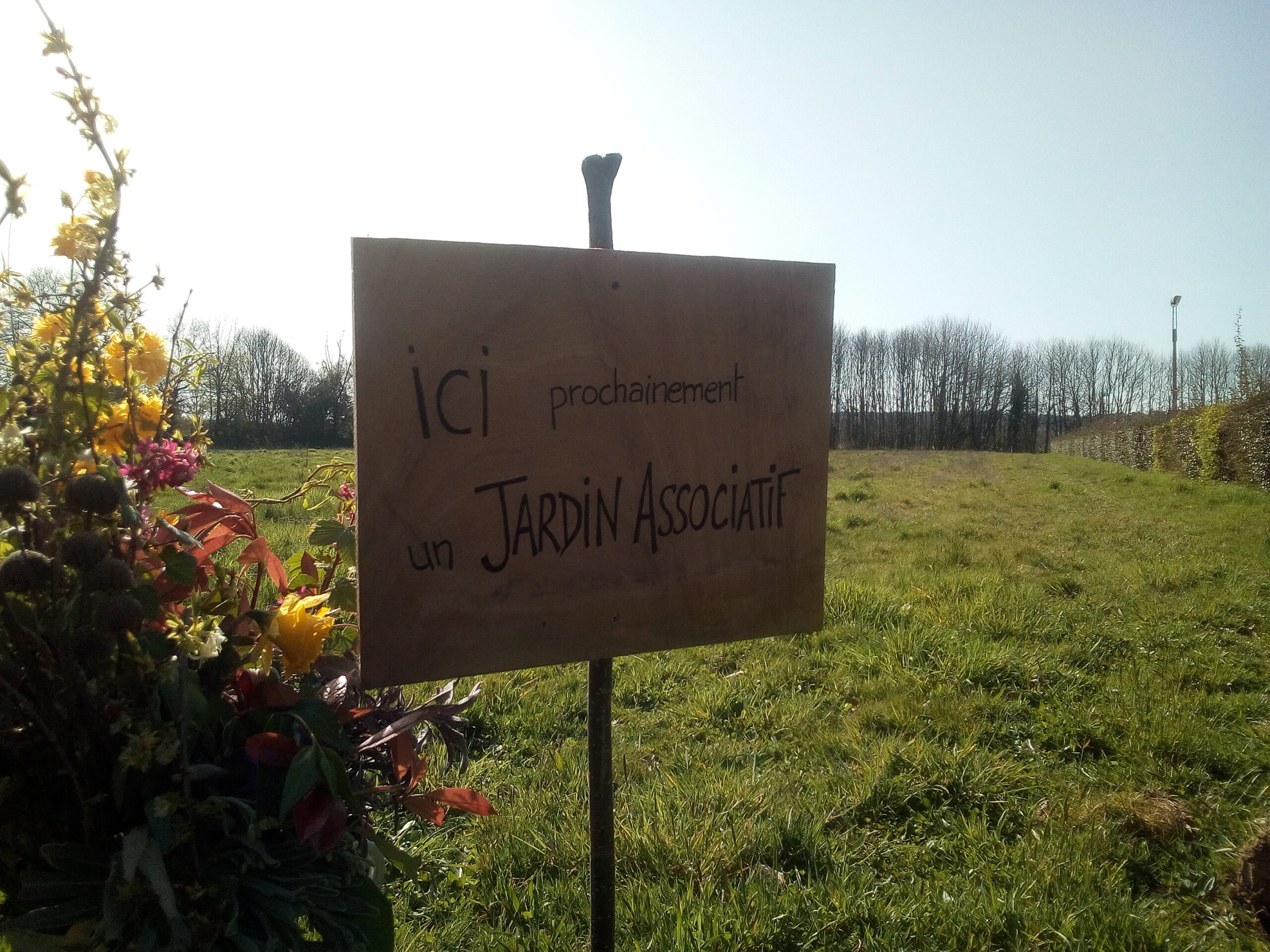 Présentation du projet de jardin