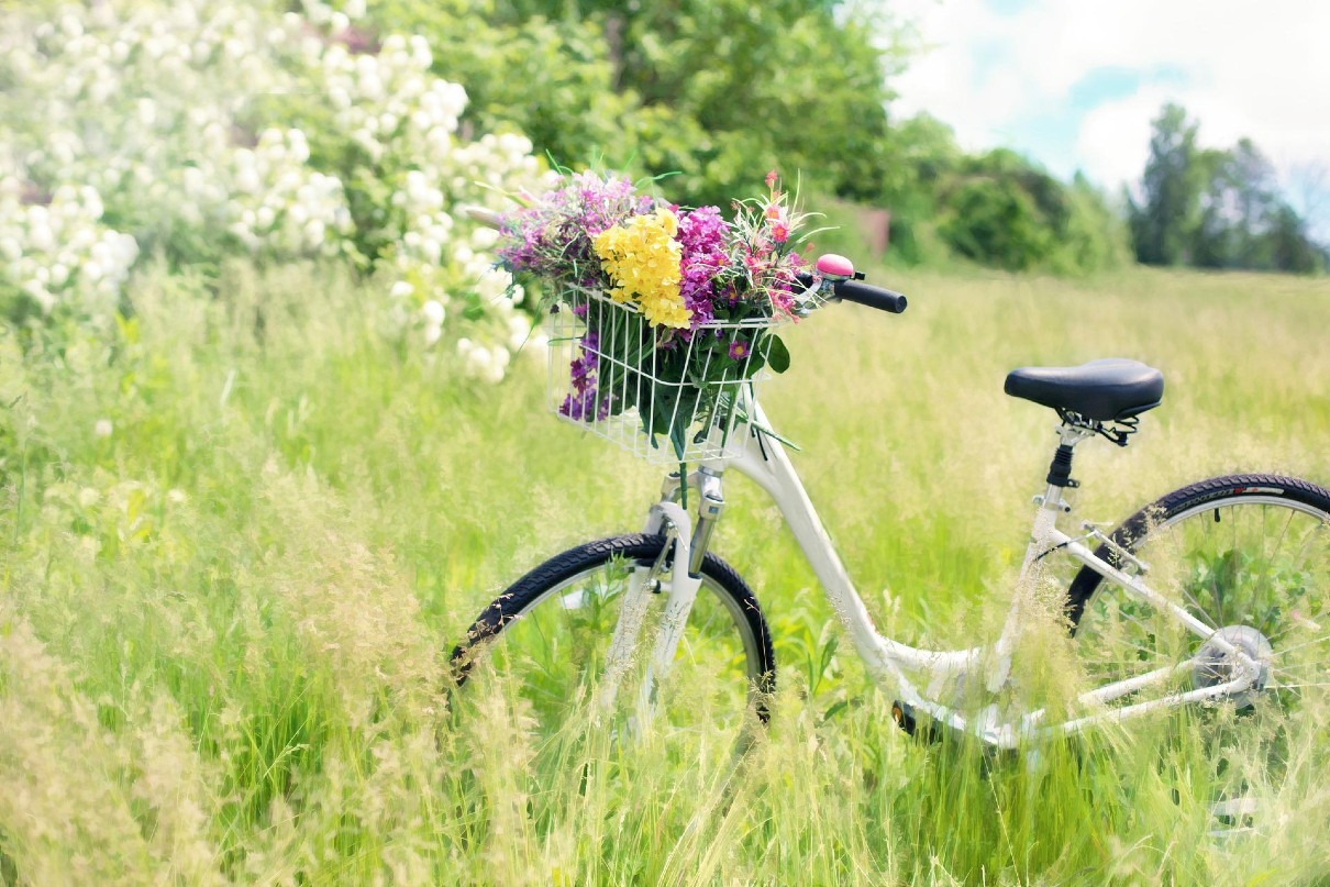 Nouvauté : fonds spécialisé sur le vélo